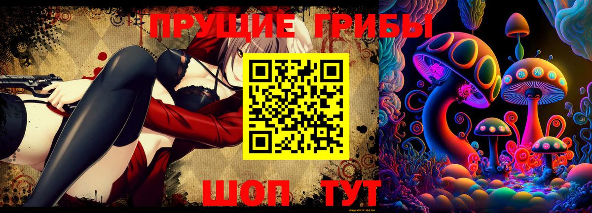 Псилоцибиновые грибы GOLDEN TEACHER  Вход с VPN  Асбест 